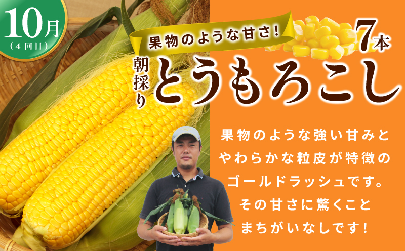 【定期便】泉州TONOファームが贈る定期便 野菜とフルーツの旬の味リレー【7月〜10月発送 水ナス トウモロコシ 枝豆 いちじく 茄子 とうもろこし 豆 イチジク なす 新鮮 泉州 やさい フルーツ】