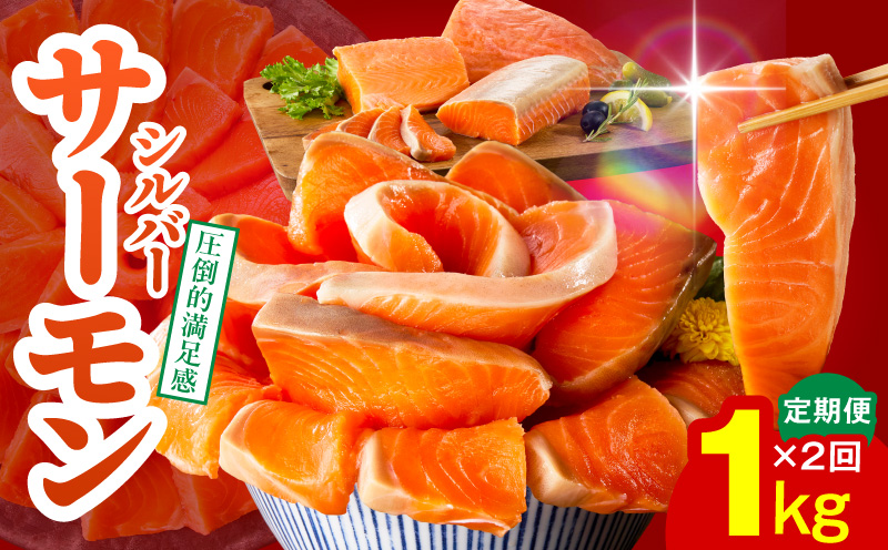 サーモン 定期便 1kg×全2回【ポーション 訳あり サイズ不揃い 刺身 海鮮丼 さーもん サラダ カルパッチョ 鮭 さけ シャケ しゃけ 人気 小分け 冷凍 家計応援】