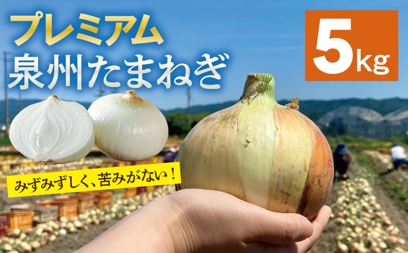 【プレミアム】泉州たまねぎ 5kg【玉ねぎ タマネギ 玉葱 甘い 野菜 国産 オニオン サラダ カレー バーベキュー 先行予約】