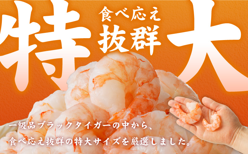 銀鮭切り身 1kg＆特大ブラックタイガー 500g【鮭 さけ しゃけ お弁当 むきえび お試し 簡単調理 背ワタなし 訳あり サイズ不揃い 冷凍 時短 エビ 海鮮 大阪 泉佐野 大阪府 泉佐野市】