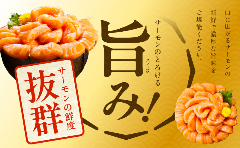 北極圏サーモン ポーション 700g【小分け 350g×2P 海鮮丼 人気 オススメ 小分け 冷凍 簡単調理 一人暮らし 東洋冷蔵】