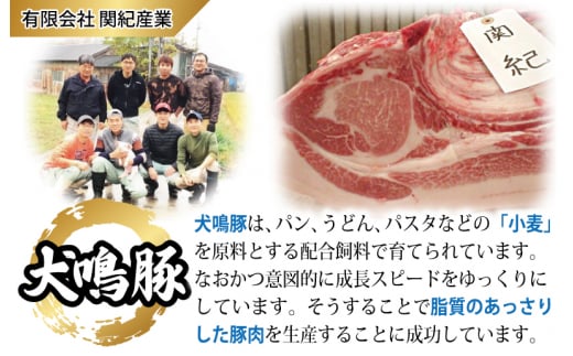 【泉佐野ブランド豚】犬鳴豚の手作りプレミアムハンバーグ（10個入り）【国産 豚肉 泉佐野ブランド豚 犬鳴ポーク 普段使い】