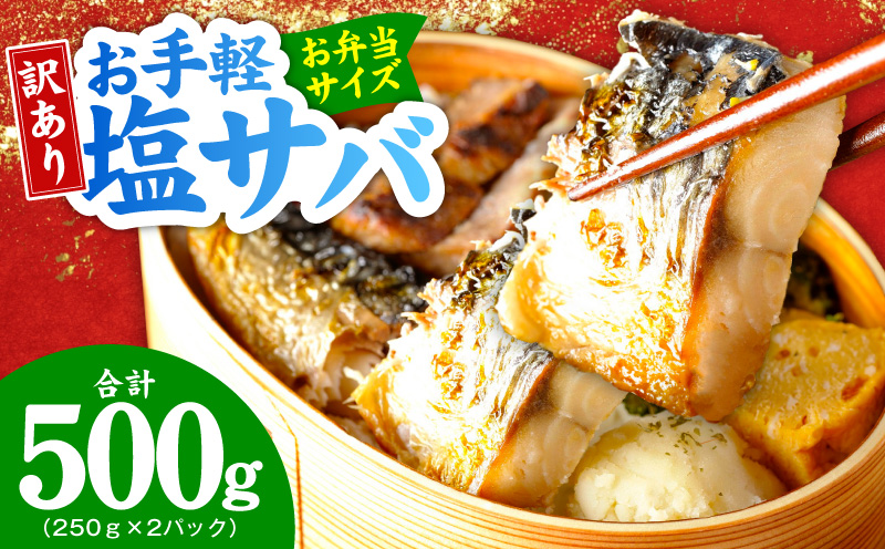 お手軽 訳アリ塩サバ500g【魚 青魚 塩さば 塩鯖 塩サバ 切身 塩焼き 焼きさば 焼き鯖 人気 冷凍 冷凍食品 おかず 弁当 惣菜】