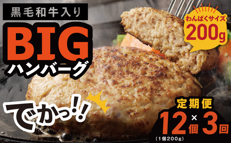 【定期便】黒毛和牛入り BIGハンバーグ（200g×12個）全3回 【毎月配送コース】