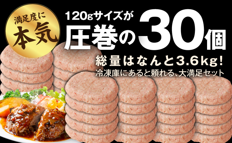 肉の泉佐野 ハンバーグ 30個（合計3.6kg）【黒毛和牛 なにわポーク入り 120g×30個 小分け 冷凍 ストック 人気 総菜 はんばーぐ 焼くだけ 簡単調理 おかず お弁当 大阪 泉佐野 大阪府 泉佐野市】