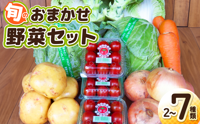 旬のおまかせ野菜 セット 2～7種類【産地直送 国産 やさい 新鮮 おまかせ 詰め合わせ 詰合せ】