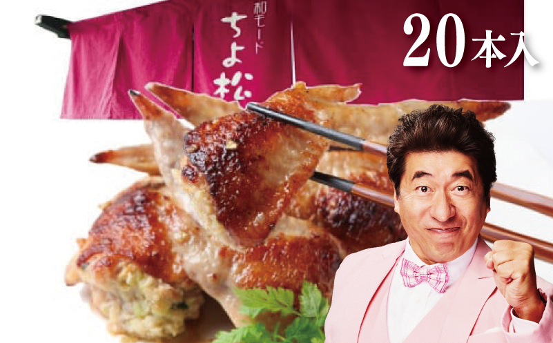 手羽先餃子20本 (10本×2袋) 日本料理屋のお惣菜 さのうまみ鶏 小分け