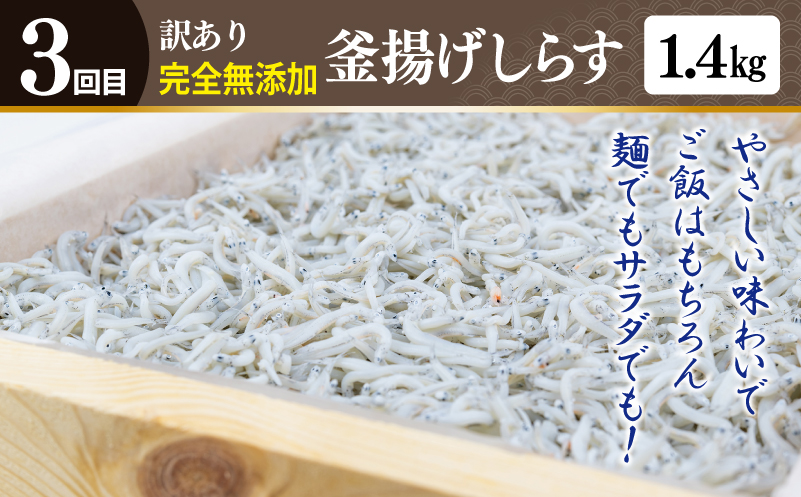 åºäž»ã»ã¬ã¯ã ãã³ããŒã°ïŒããã é£ã¹æ¯ã¹ å®æäŸ¿ å
š3åãæ¯æé
éã³ãŒã¹ã