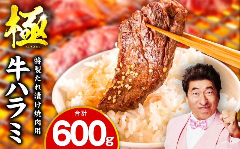 【お試し】牛肉 ハラミ 600g（300g×2P）【氷温熟成×特製ダレ】