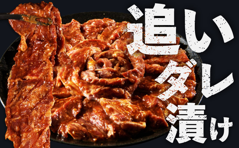ガツめし牛ハラミ 600g　追いダレ漬け【300g×2 ハラミはらみ 牛はらみ 牛肉 訳アリ 不揃い 小分け 大阪 泉佐野 大阪府 泉佐野市】