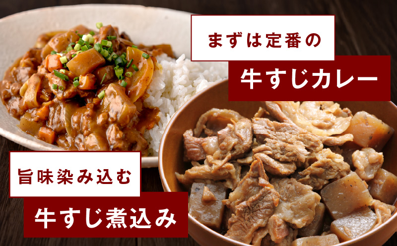 【スピード発送】牛すじ肉 総量 1kg 真空パック 500g×2P【氷温熟成×極味付け 牛肉 お肉 小分け 冷凍 SDGs フードロス カレー 煮込みに】