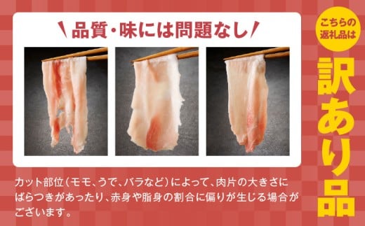 【特別規格】国産豚肉 切り落とし 2.4kg+600g【氷温熟成×極味付け 小分け 300g ぶた 普段使い 訳あり サイズ不揃い 圧倒的企業努力】