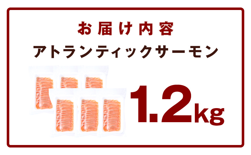 ã¢ãã©ã³ãã£ãã¯ãµãŒã¢ã³ 1.2kgïŒ200gÃ6ïŒèš³ãã ãµã€ãºäžæã