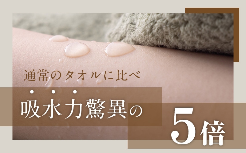 世界最高峰のタオル nei フェイスタオル 6枚（グリーン）【ホテル仕様 上質 厚手 吸水性 たおる ギフト 国産】