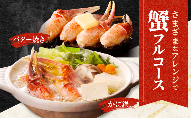 【高評価】本ズワイ蟹 爪肉 500g カット済み（2-3人前）【2Lサイズ ボイル ずわいがに カニ 海鮮 訳あり サイズ不揃い 規格外 かに鍋】 