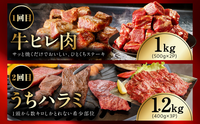 【定期便】希少部位 定期便6万円コース【小分け 希少部位 ヒレ 鶏肉 スペアリブ はらみ ハラミ 牛肉 焼肉 BBQ 簡単調理 味付き 大阪 泉佐野 大阪府 泉佐野市】