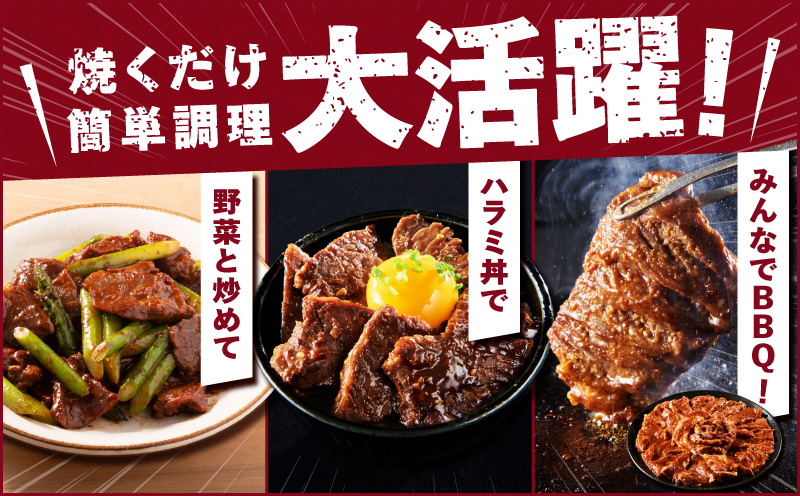 ガツめし牛ハラミ 600g　追いダレ漬け【300g×2 ハラミはらみ 牛はらみ 牛肉 訳アリ 不揃い 小分け 大阪 泉佐野 大阪府 泉佐野市】