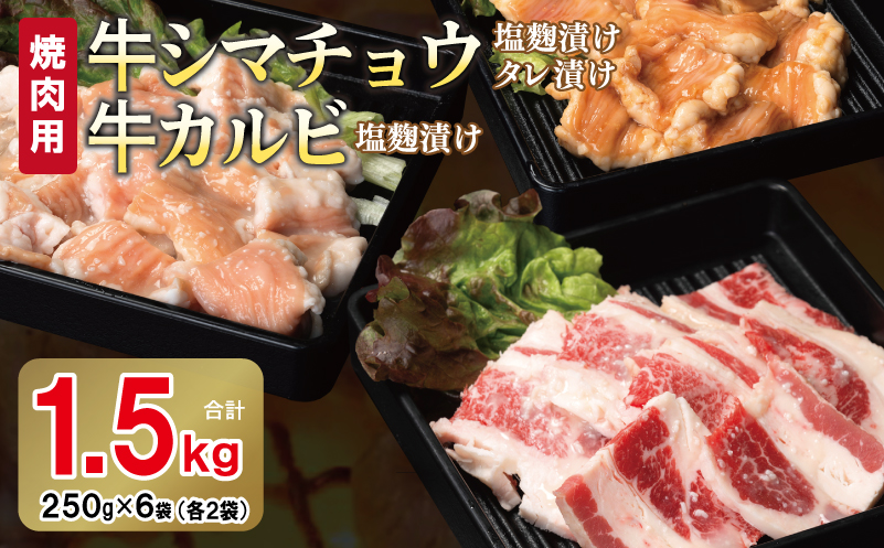 çã·ããã§ãŠïŒã¿ã¬æŒ¬ã+塩麹ïŒïŒå¡©éº¹æŒ¬ãçã«ã«ãã®çŒèã»ãã åèš1.5KgïŒ1è¢250ïœÃå2è¢ïŒ ãå³ä»ã å°åã çŒãã ã ç°¡å調ç BBQ çè ãã«ã¢ã³ 250gÃ6è¢ æ®æ®µäœ¿ãã