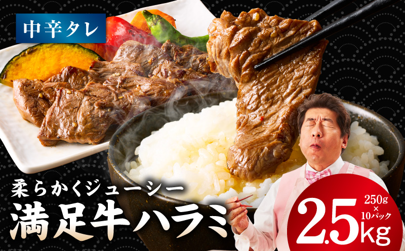【満足牛ハラミ】中辛タレ漬け 合計2.5kg 【味付け ハラミ 小分け 焼くだけ 簡単調理 BBQ 牛肉 250g×10P】