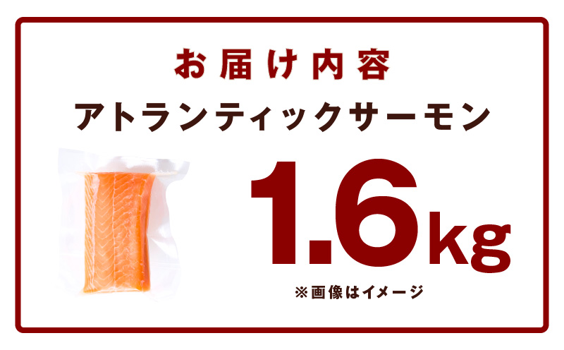 ã¢ãã©ã³ãã£ãã¯ãµãŒã¢ã³ 1.6kgãããŒã·ã§ã³ å°åã åºèº« 海鮮䞌 ããŒãã å·å èš³ãã ãµã€ãºäžæã ãŸãšãè²·ãã