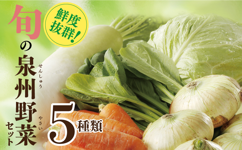 旬の野菜セット 詰め合わせ 5種類 国産 新鮮 お試し おまかせ お楽しみ