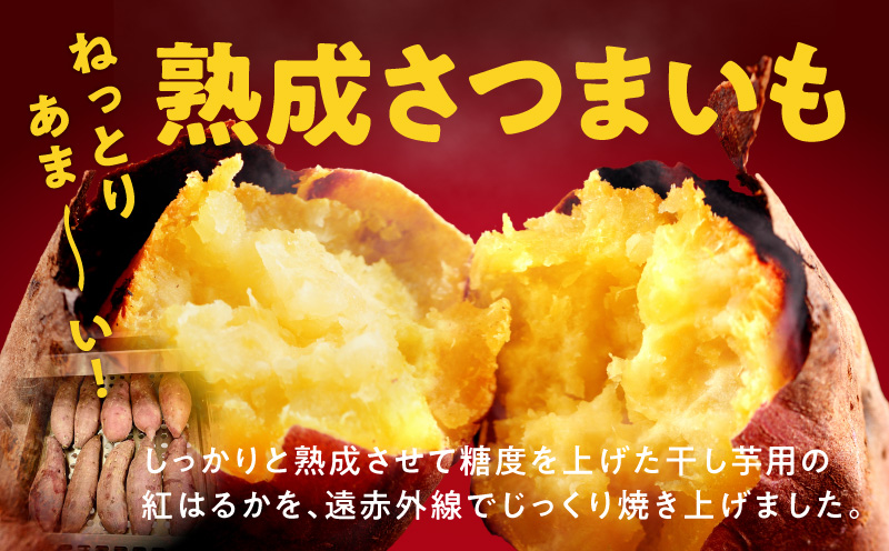【定期便】干し芋屋の焼き芋 紅はるか 全2回 【2026年2月＆2026年5月発送】