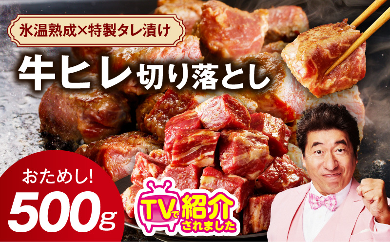 【お試し】牛ヒレ肉 切り落とし 500g【小分け 500g×1P 氷温熟成×特製ダレ サイズ不揃い やわらか ステーキ ひと口サイズ カット済み】