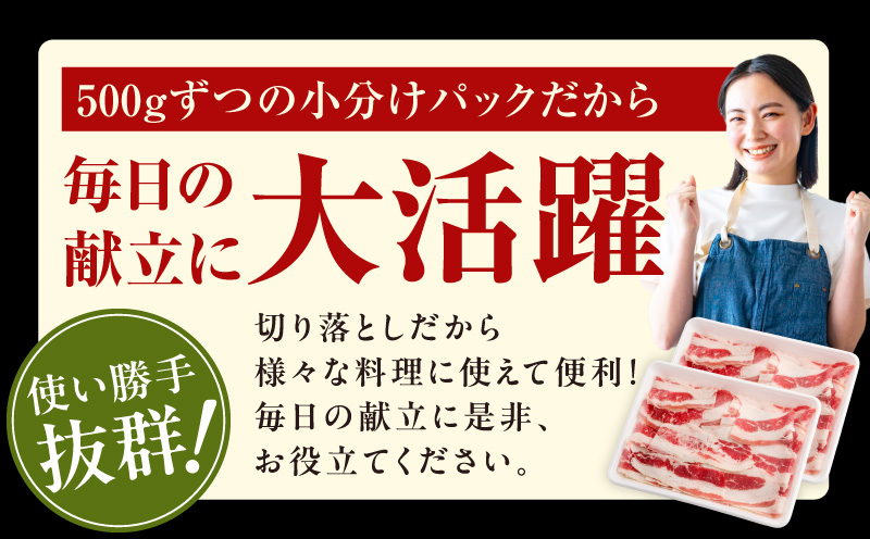 牛バラ肉 切り落とし 1kg【氷温熟成×極味付け 小分け 500g×2P 焼くだけ 簡単調理】