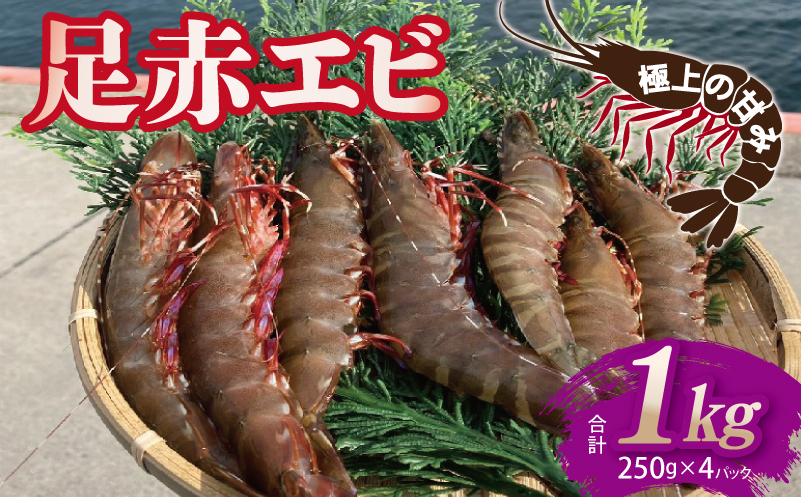 足赤エビ 1kg【国産 えび 天然 ぷりぷり 海鮮 水揚げ 生食可】