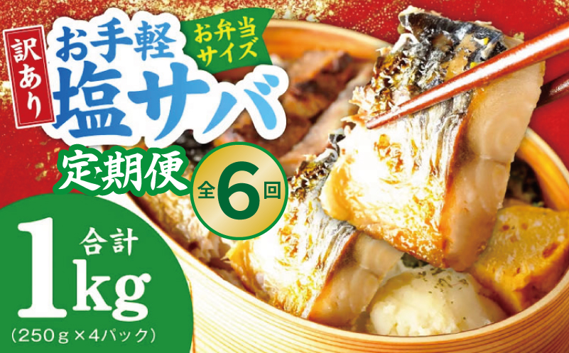 【定期便】塩さば 1kg（250g×4P）全6回【お弁当サイズ 生活応援 サバ 小分け 青魚 塩鯖 塩サバ 切身 塩焼き 焼きさば 焼き鯖 人気 冷凍 冷凍食品 おかず 惣菜 訳あり サイズ不揃い 大阪 泉佐野 大阪府 泉佐野市】