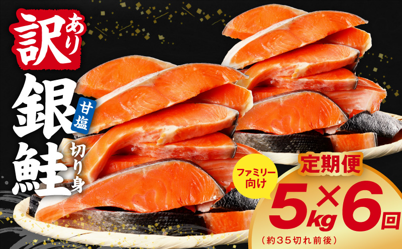 【定期便】銀鮭 切り身 5kg(約35切れ前後) 全6回【訳あり 規格外 甘塩 バラ凍結 海鮮 魚介 鮭 さけ しゃけ お弁当 朝食 おかず 簡単調理 家計応援 大阪 泉佐野 大阪府 泉佐野市】