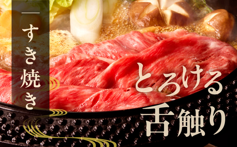 【スピード発送】A4ランク 黒毛和牛 すきしゃぶ用 500g【氷温熟成×極味付け すき焼き しゃぶしゃぶ 切り落とし スライス 牛肉 訳あり サイズ不揃い 家計応援 大阪 泉佐野 大阪府 泉佐野市】