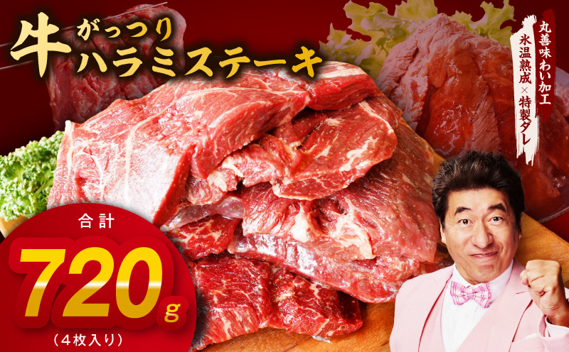 がっつり！牛ハラミステーキ 720g【氷温熟成×特製ダレ 小分け 360g×2パック 牛肉 すてーき 焼くだけ】