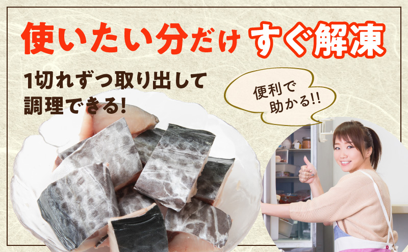 【定期便】さわら 切身 約50g×10切れ 全2回【2026年2月＆2026年5月発送 お弁当サイズ 小分け 漁師 手切り 500g 泉州 鰆 切り身 弁当 朝食 時短 訳あり サイズ不揃い 規格外 冷凍食品】