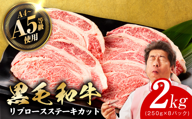 A5/A4ランク 黒毛和牛 リブロースステーキカット 合計2kg（250g×8P） + 圧倒的企業努力 サーロインステーキ 250g【極味付け肉】