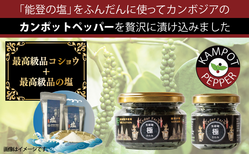 生胡椒 極(きわみ) 60g×1本【能登の塩 コショウ こしょう カンポットペッパー スパイス カンボジア】