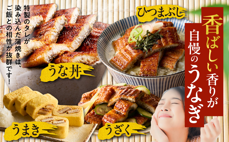 【土用の丑の日までにお届け】うなぎ 蒲焼き 暴れ盛り 合計 600g【鰻 真空パック 簡単調理 訳あり サイズ不揃い 人気 惣菜 うな重 うな丼 ひつまぶし にも 大阪 泉佐野 大阪府 泉佐野市】