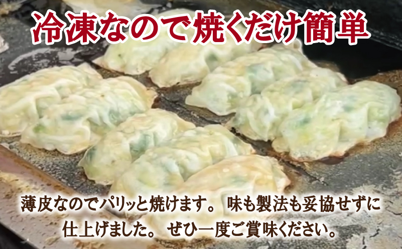 【合計1000個以上】餃子三昧 定期便 88個×12回【自家製 薄皮 手作り ぎょうざ 惣菜 毎月配送】