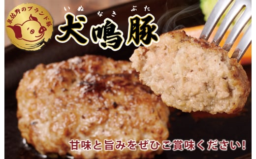 【泉佐野ブランド豚】犬鳴豚の手作りプレミアムハンバーグ（10個入り）【国産 豚肉 泉佐野ブランド豚 犬鳴ポーク 普段使い】