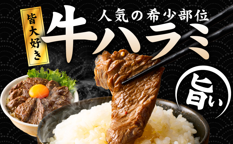 【満足牛ハラミ】3種セット （甘辛タレ漬け・中辛タレ漬け・オリジナルスパイス仕込み） 合計1.5kg 【味付け ハラミ 小分け 焼くだけ 簡単調理 BBQ 牛肉 250g×6P 普段使い】