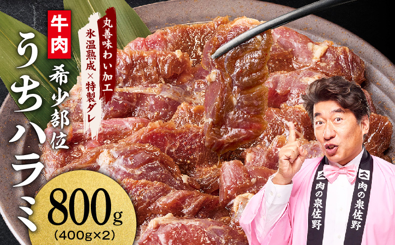 【スピード発送】希少部位 牛肉 うちハラミ 800g（400g×2）【氷温熟成×特製ダレ 大阪 泉佐野 大阪府 泉佐野市】