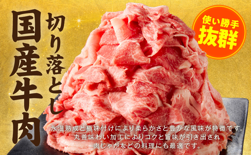 国産牛 切り落とし 900g 小分け 300g×3P【国産 牛肉 氷温熟成×極味付け 訳あり サイズ不揃い カレー 牛丼 野菜炒め 肉じゃが 家計応援】