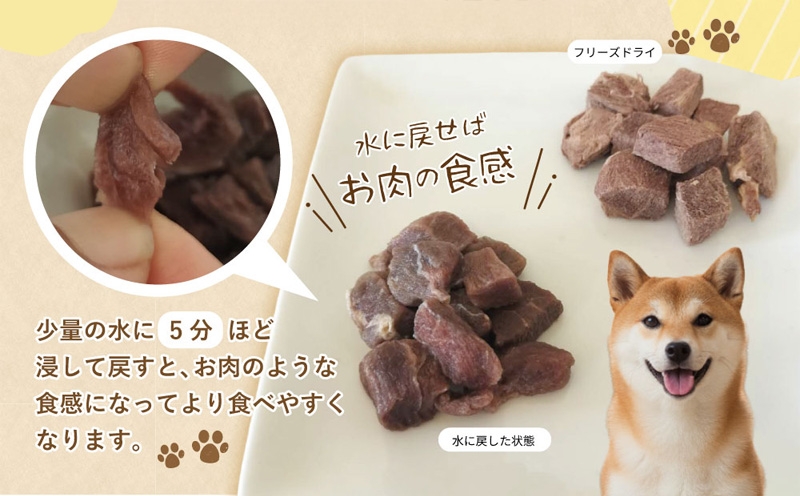 ALOHAS 馬肉フリーズドライ 犬猫用おやつ 定期便 全3回【犬猫用 国産 無添加 無着色 高タンパク 低脂肪 ドッグフード キャットフード 毎月配送コース】