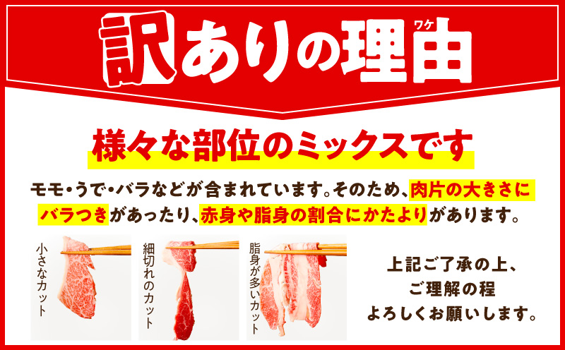 【スピード発送】国産牛 切り落とし 900g 小分け 300g×3P【国産 牛肉 氷温熟成×極味付け 訳あり サイズ不揃い カレー 牛丼 野菜炒め 肉じゃが 家計応援】