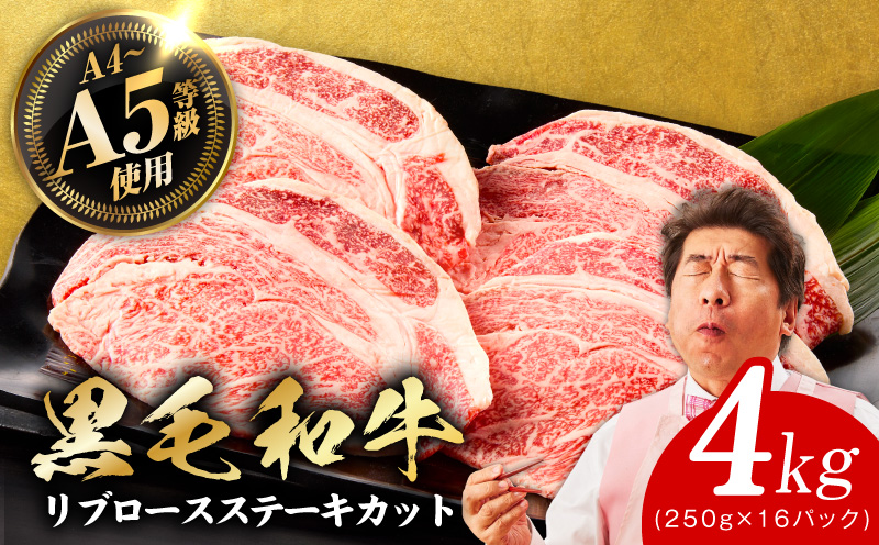 A5/A4ランク 黒毛和牛 リブロースステーキカット 合計4kg（250g×16P） + 圧倒的企業努力 サーロインステーキ 250g【極味付け肉】
