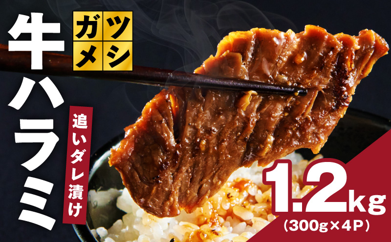ガツめし牛ハラミ 1.2kg　追いダレ漬け【300g×4 ハラミはらみ 牛はらみ 牛肉 訳アリ 不揃い 小分け 大阪 泉佐野 大阪府 泉佐野市】