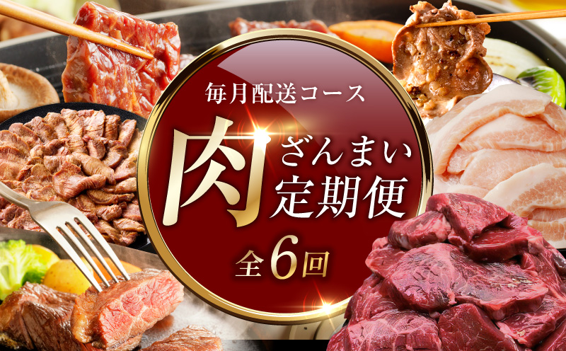 アキラ商店 肉三昧 プレミアム 定期便 全6回【毎月配送コース お楽しみ 焼肉 ていきびん 焼くだけ 小分け BBQ やきにく 数量限定 大阪 泉佐野 大阪府 泉佐野市】