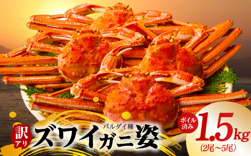 【訳あり規格】バルダイ種 ズワイガニ姿 1.5kg（2〜5尾）【ボイル済み オオズワイガニ かに カニ 蟹 ズワイガニ ファミリー向け】