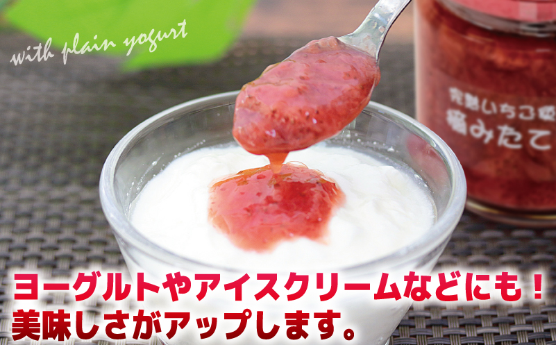 完熟朝摘みいちごのジャム【苺 無添加 自然素材 フルーツ イチゴ 高評価 数量限定】