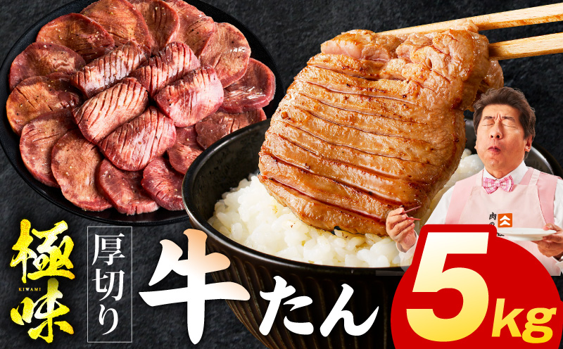 厚切り牛たん 5kg【氷温熟成×旨塩ダレ 味付き 訳あり サイズ不揃い 500g 小分け 焼くだけ 焼肉】